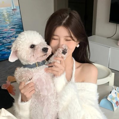 完美音调